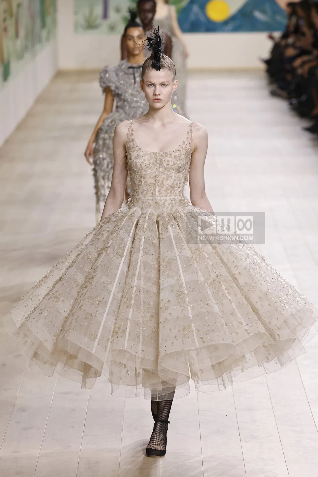 Paris Fashion Week The Dior Collection Dior Spring Collection